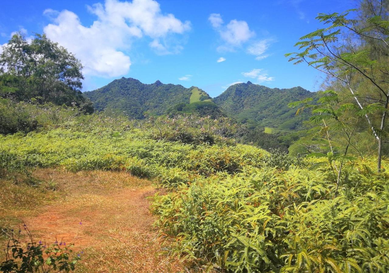 Rarotonga Golfseaview 빌라 외부 사진